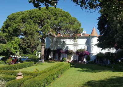 Chateau Garabondy – Queen Victoria Pine tree