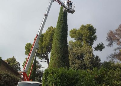 Cypres Trimming – Mougins