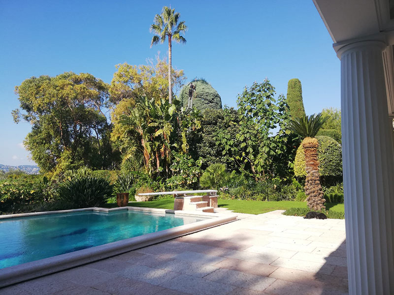 residential-tree-surgery-france